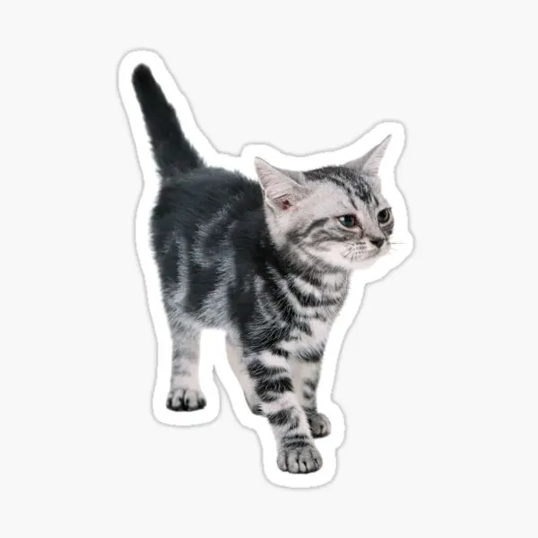 

Car for Leptop Cat tabby Sticker Bonding Sticker 17CM z8