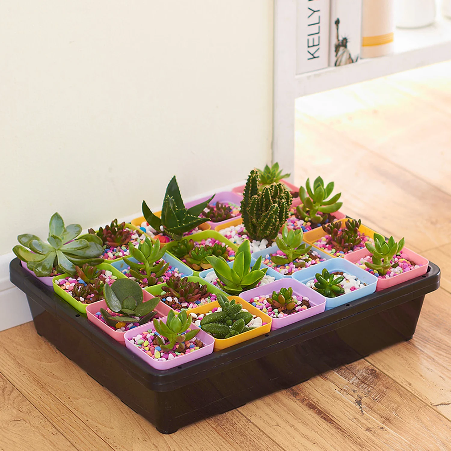 

Behogar 1PCS Rreusable Plastic Plant Growing Tray 1PCS Cover 20PCS Pots for Garden Greenhouse Seedlings Wheatgrass Microgreens