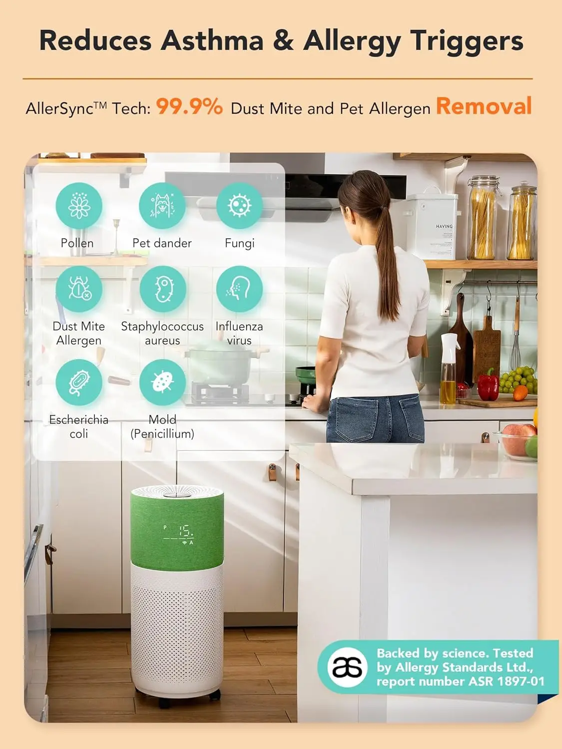 Очистители воздуха для больших помещений до 2550 футов H13 Очиститель HEPA работает с