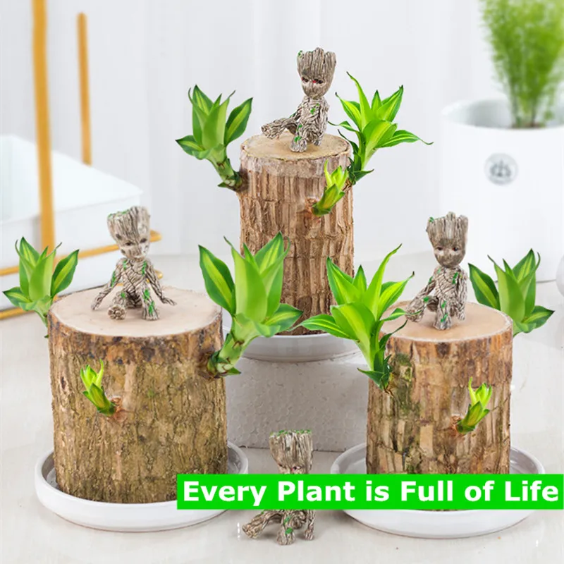

Groot Potted Plant Stump Mini Brazil Lucky Badan Small Decoration Wood Hydroponic Mini Plant Indoor Office Desktop Decoration