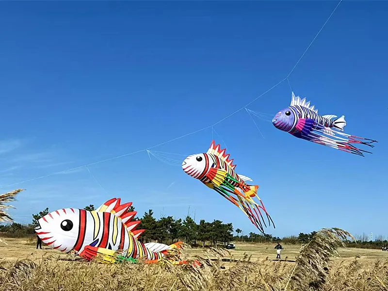 Бесплатная доставка 8 м новый воздушный змей с рыбой летающие воздушные змеи