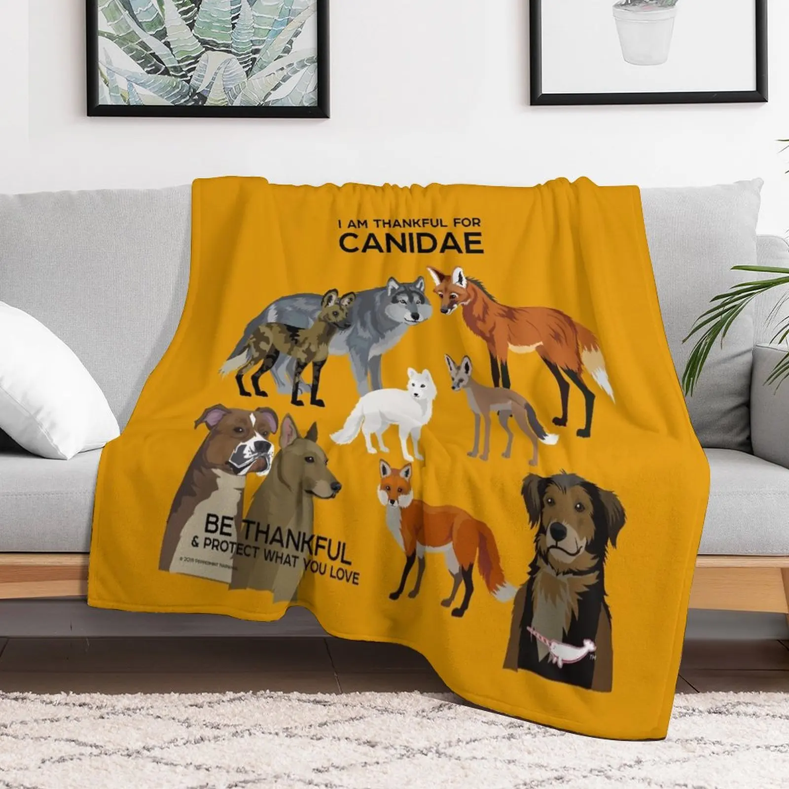 Я благодарен за одеяло для дивана кровать декоративных диванов