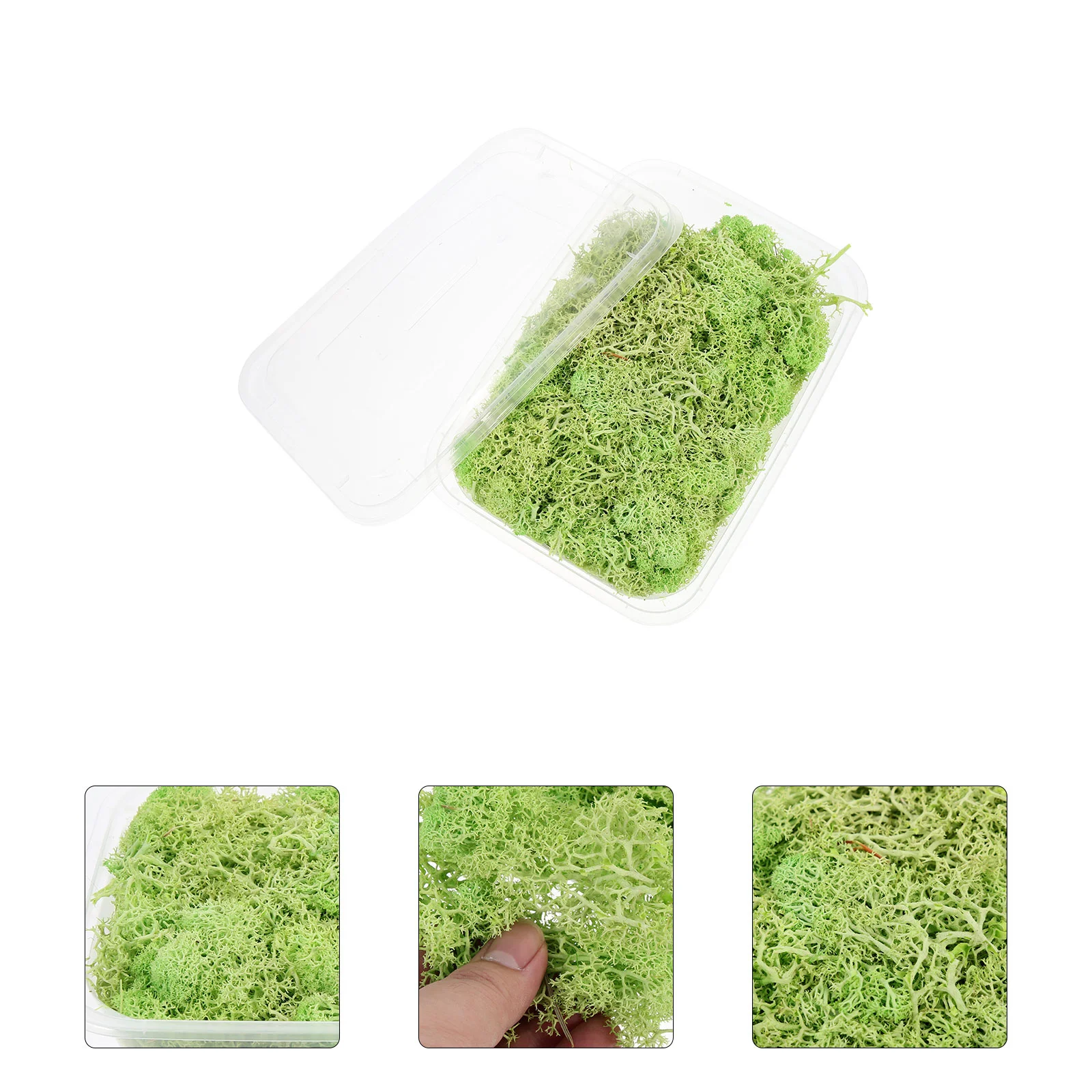 

1 Box Preserved Moss Potted Plants Landscaping Eternal Moss Terrarium Decor