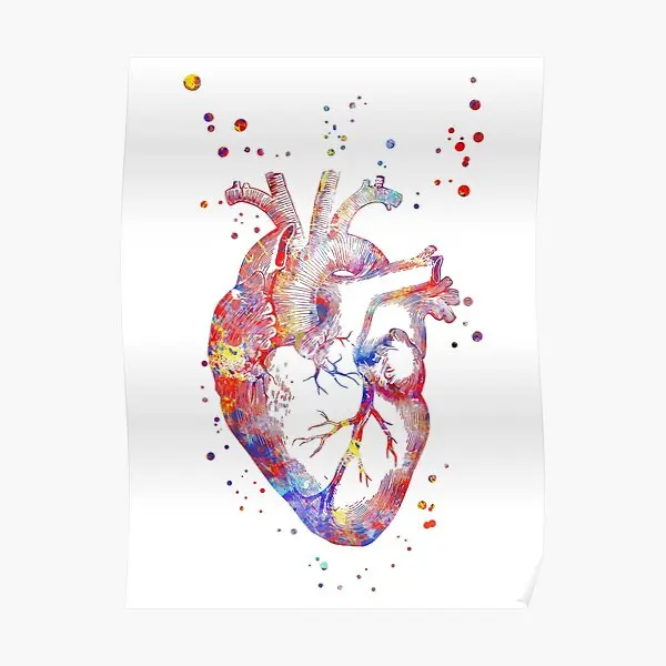 

Медицинский художественный плакат с изображением сердца человека, анатомии, декор для комнаты, печать, искусство, смешная винтажная картин...
