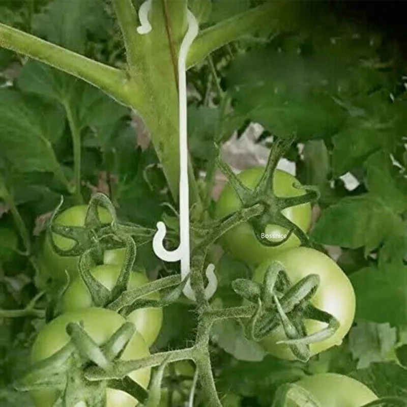 

13/16CM Tomato Support J Hooks Plant Support Vegetable Clips To Prevent Tomatoes Fruit Cluster From Pinching or Falling Off