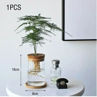 biological nursery box hydroponic plant flower vase glass bottle wooden bonsai indoor outdoor d%c3%a9cor office home bonsai decor