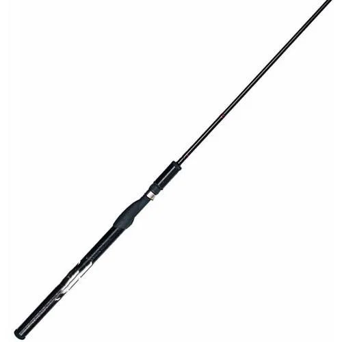 

" Spinning Rod"