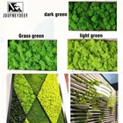 Искусственное растение 200 г, Зеленый Натуральный Мох, долговечный Восстановленный фон для дома, сада, сцены, свадебные украшения, цветы Моха