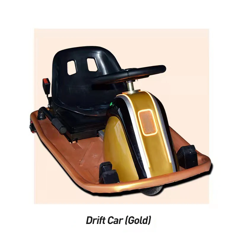 Заводские пользовательские другие продукты для парка развлечений электрический