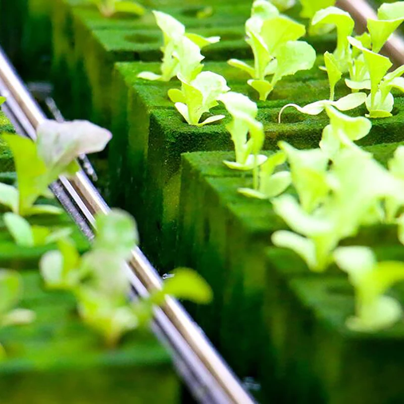 36/50 шт. губки для выращивания растений