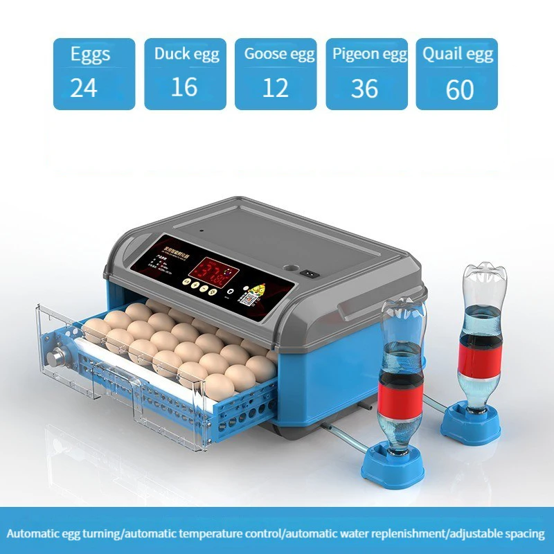 

Инкубатор для цыплят, перепелиных яиц, 24/36