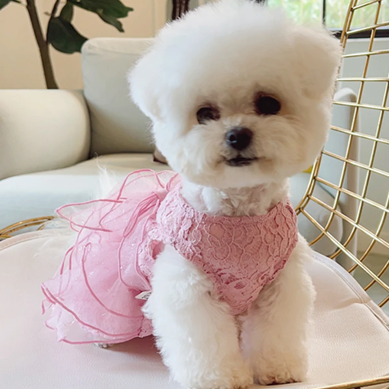 Летнее платье для кошек одежда чихуахуа йорков пуделя собак Shih Tzu Bichon костюм