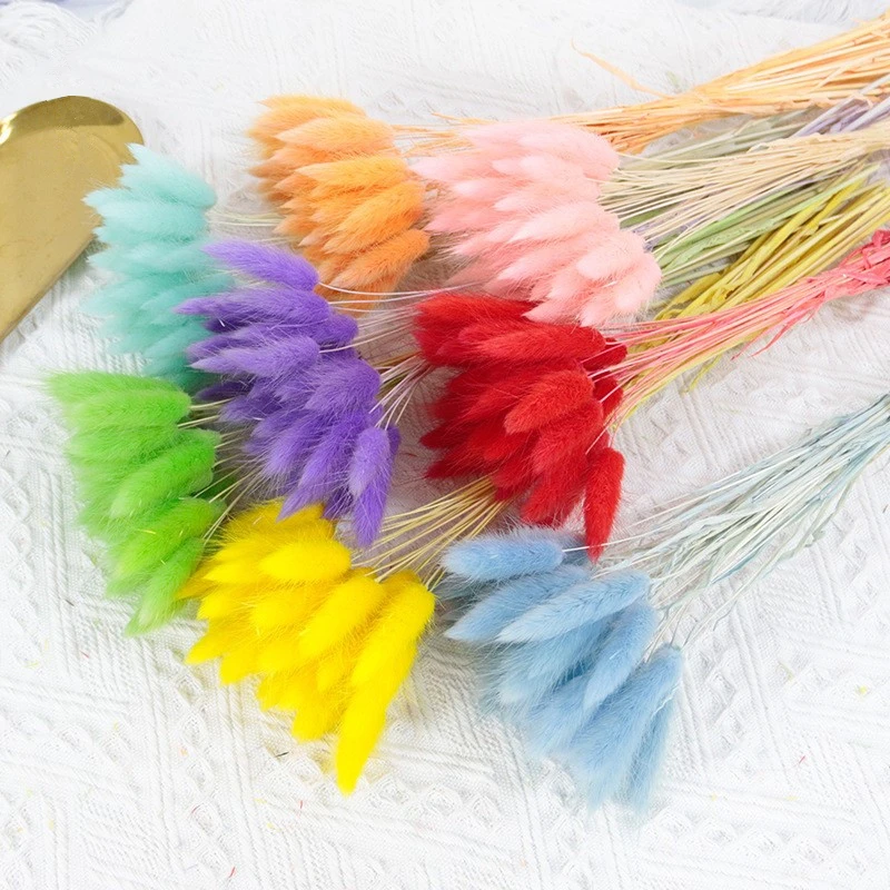 

60pcs Rabbit tail grass dried flower bag bouquet ins wind home decoration dog tail color Plants Bouquet Wedding Home Living Room
