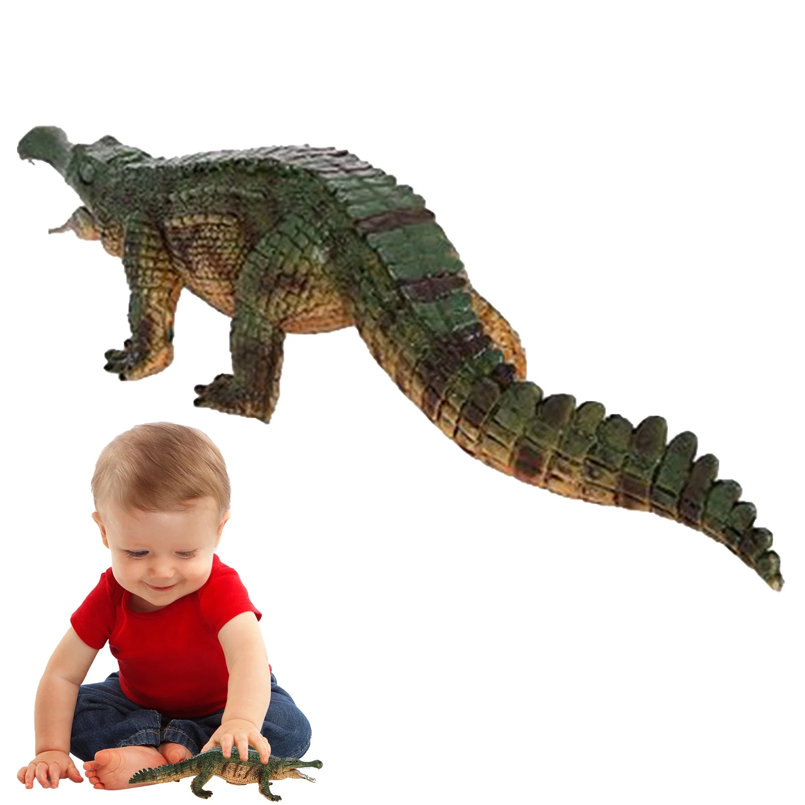 

Simulated Crocodiles Model Alligator Figurines Creative Static Ornaments Science Educational Props Children's Cognitive