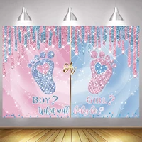 gender reveal boy or girl backdrop he or she feet happy birthday party baby shower newborn photography background photo banner