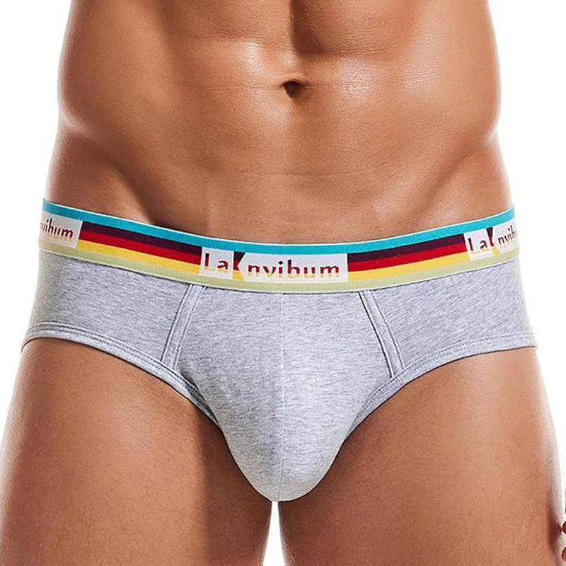 

Мужские брифы, нижнее белье из натурального хлопка, брифы с U-образным выпуклым пенисом, качественные разноцветные мужские трусы