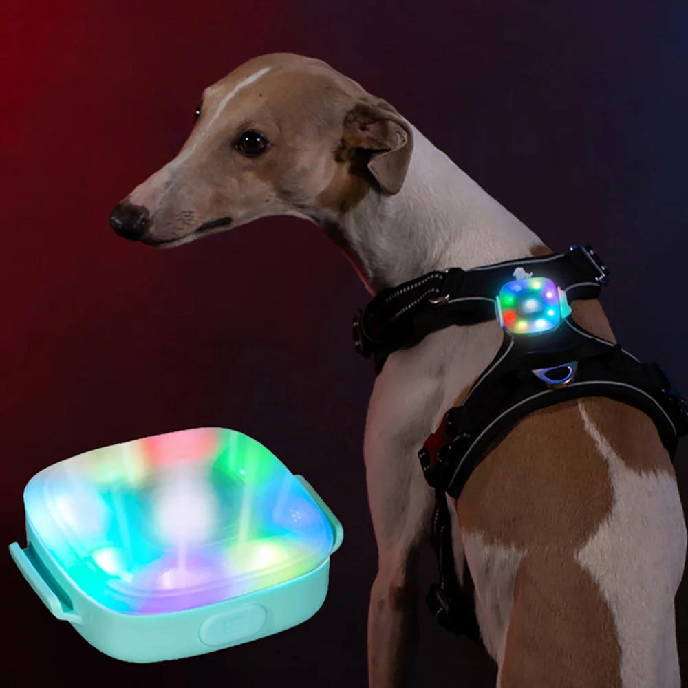

Pet Night LED Navigation Light Pet Dog Tag Led Collar Light Pendant Glow Night Safety Flashlight for Dog Collar Harness Leash