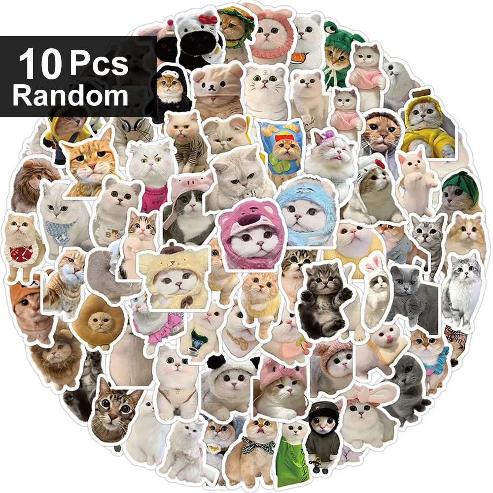 

Стикеры с котиками 10/500/1000 шт.