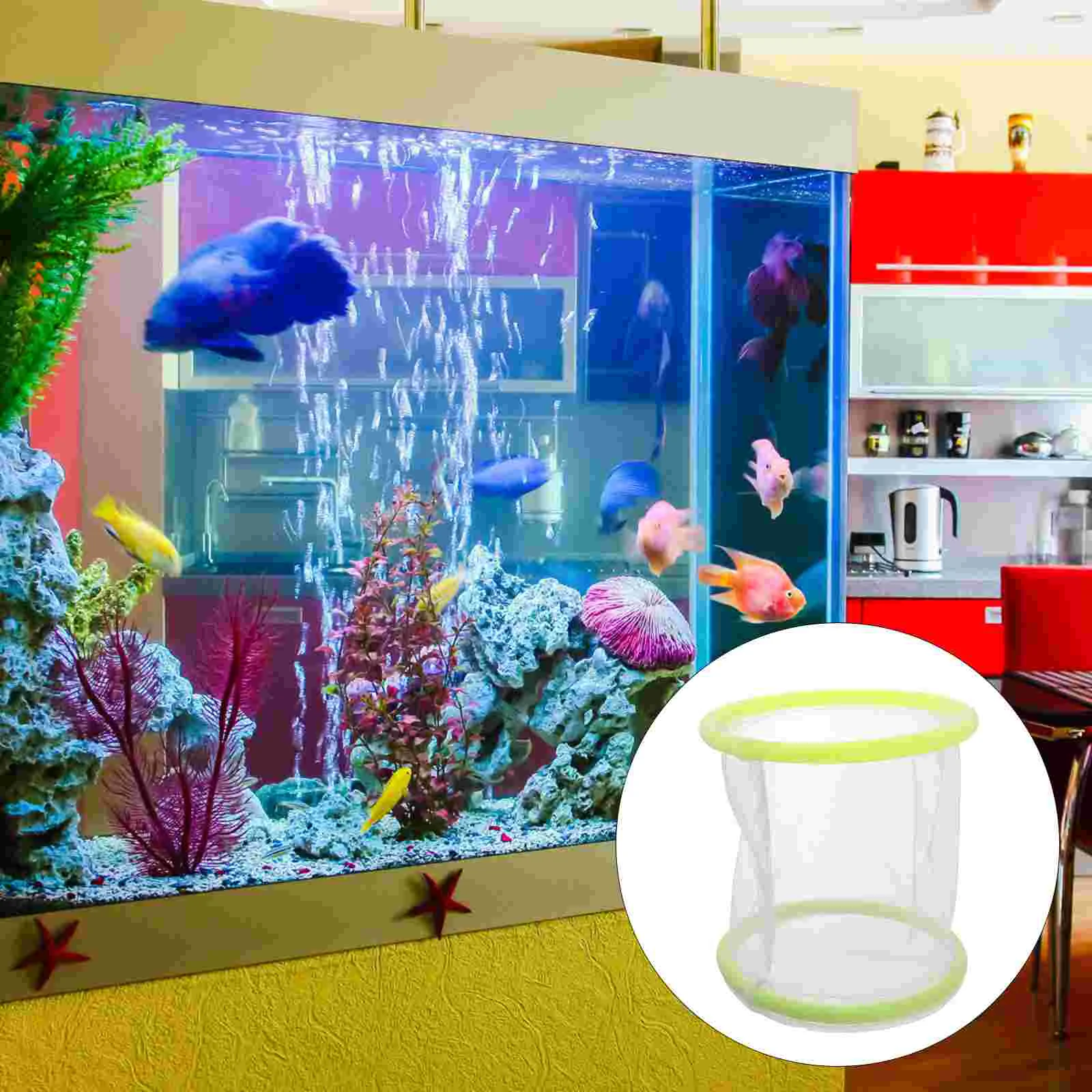 

Box Fish Incubator Net Breeder Isolation Spawning Breeding Fry Hatchery Aquarium Hatching Mesh Round Separationnylon Water