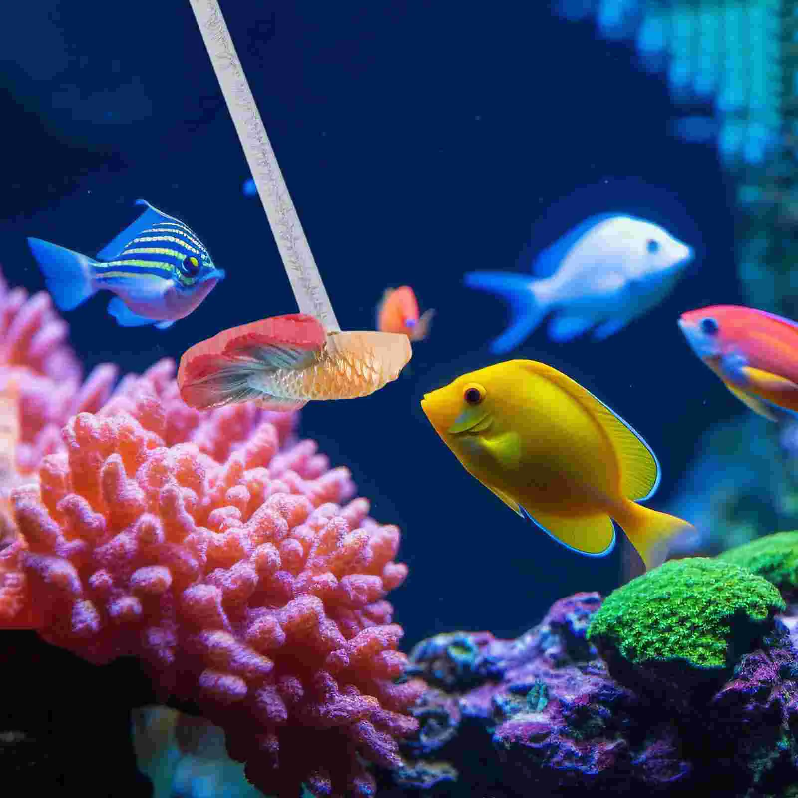 Палочка для рыб Betta декор резервуаров тренировок оборудование активного