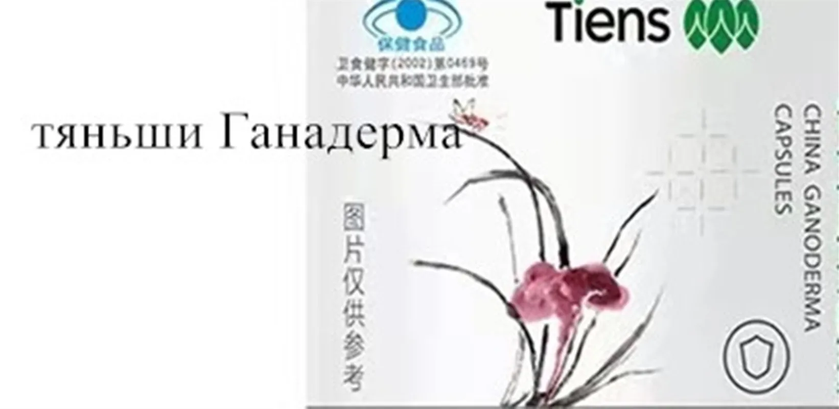 

Тяньши ганаддерма