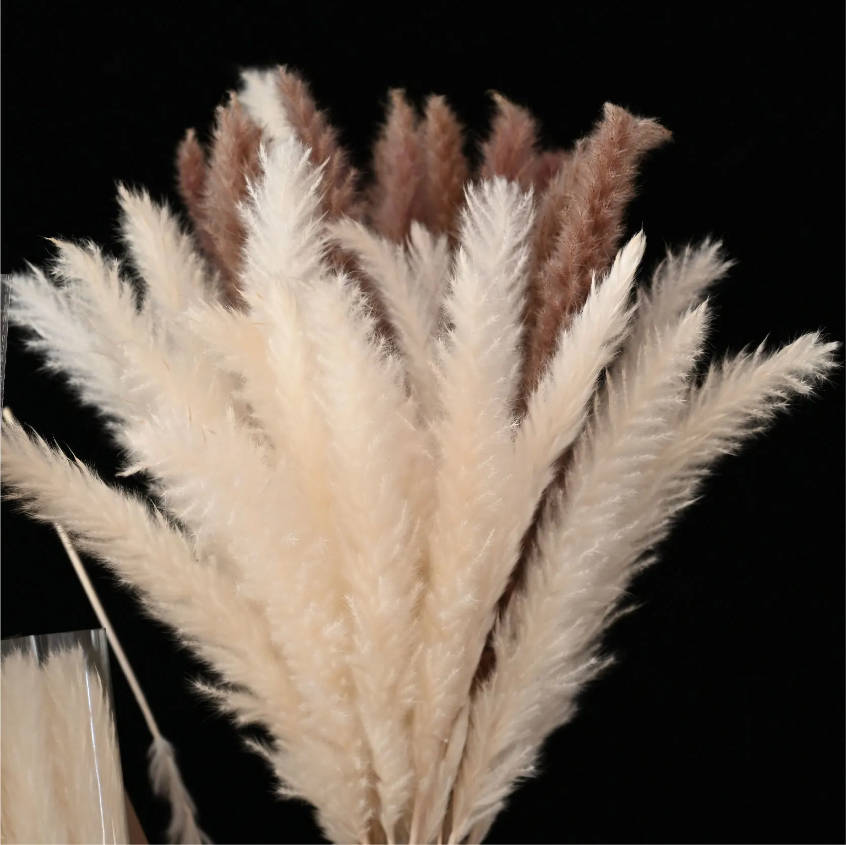 

45CM Pampa Natural Dried Flower Rabbit Tail Grass Wedding Pampas Grass Decor Gypsophile Decoration Home Blumen Dekoration Dry