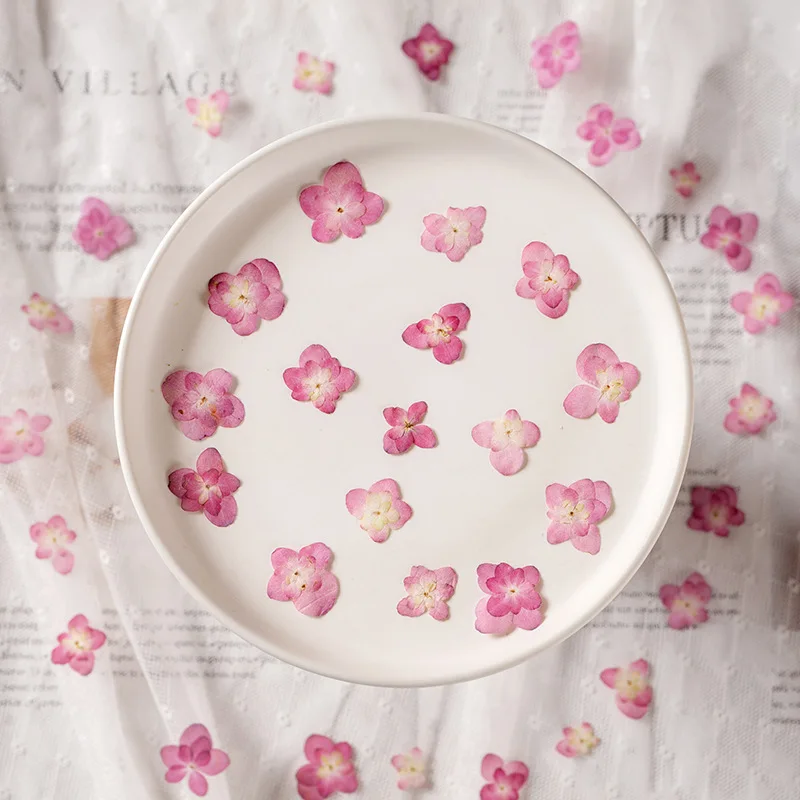 1 5-2 5 см/12 шт. натуральные розовые гортензии с двойными лепестками прессованные