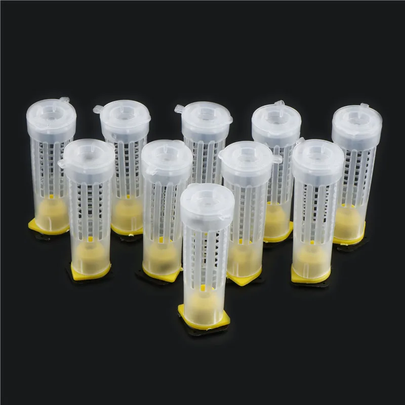 

10Pcs Beekeping Rearing Cup Kit Queen Bee Hair Roller Cages Cell Cup Holder And Cell Fixtures Beekeepers Equipment Пчеловодство