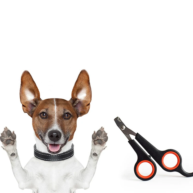 

Pet Dog Cat Nail Clipper Professional Multicolor Cutter Stainless Steel Grooming Clippers Scissors for Puppy Dogs Cats Clipper