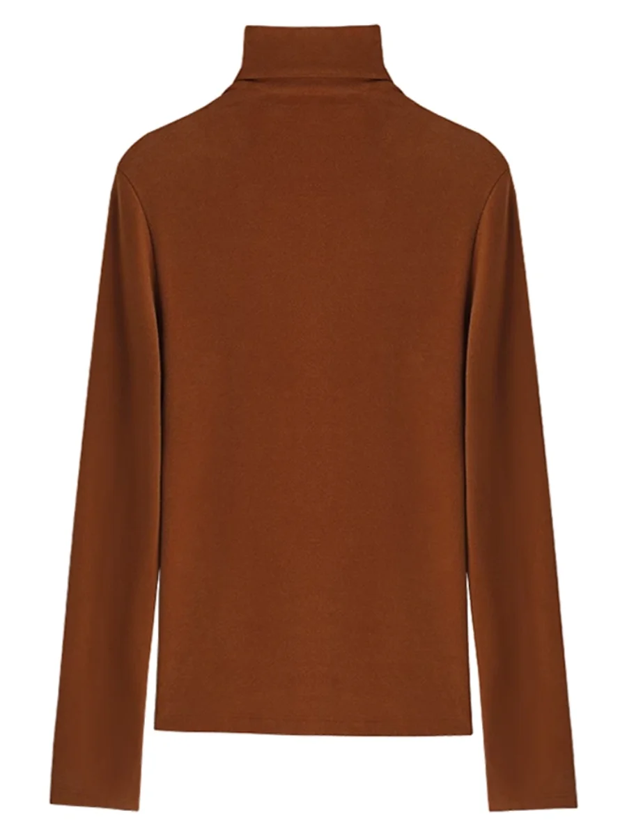 Turtleneck Double-sided Dralon Bottoming Shirt Women Autumn and Winter 2024 New Fleece-lined Thickened Inner wear Sanding Pil...