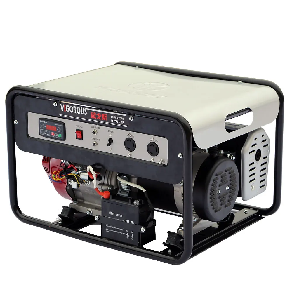

8KW Small Portable Generator Gas Powered Generator For Home