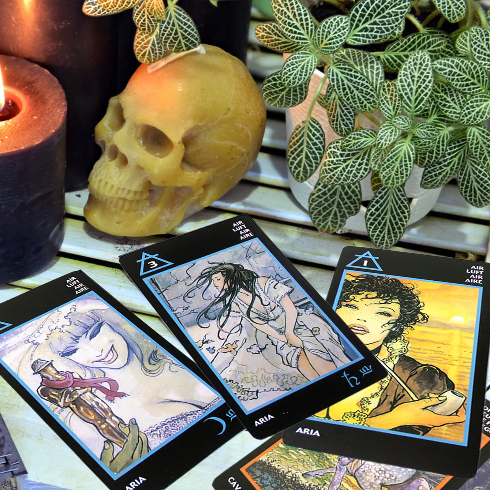 

Manara Erotic Tarot Durable Tarot Cards Set With Box Classic Artwork 78 PCS Erotic Tarot For Beginners Expert Readers Playful