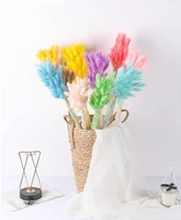 30pcs 45cm natural dried flowers reed rabbit tail grass bunch real flower bouquet pampas grass family wedding decoration
