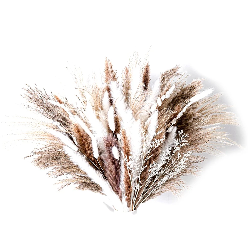 

80PCS Natural Dried Pampas Grass Bouquet,Boho Home Decor Bouquet, Phragmites Dried Flowers,Bouquet For Wedding Decor