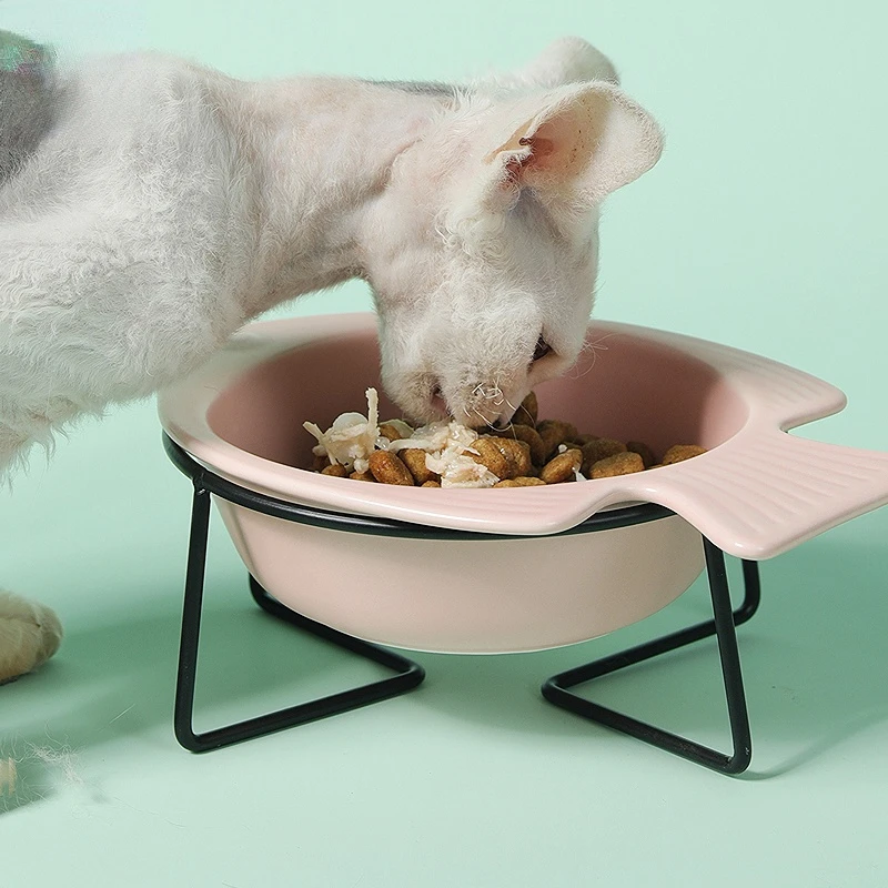 

Керамическая миска для кошек, ванночка для кормления, ванночка для собак, металлический держатель, миска для кошек и домашних животных, защи...