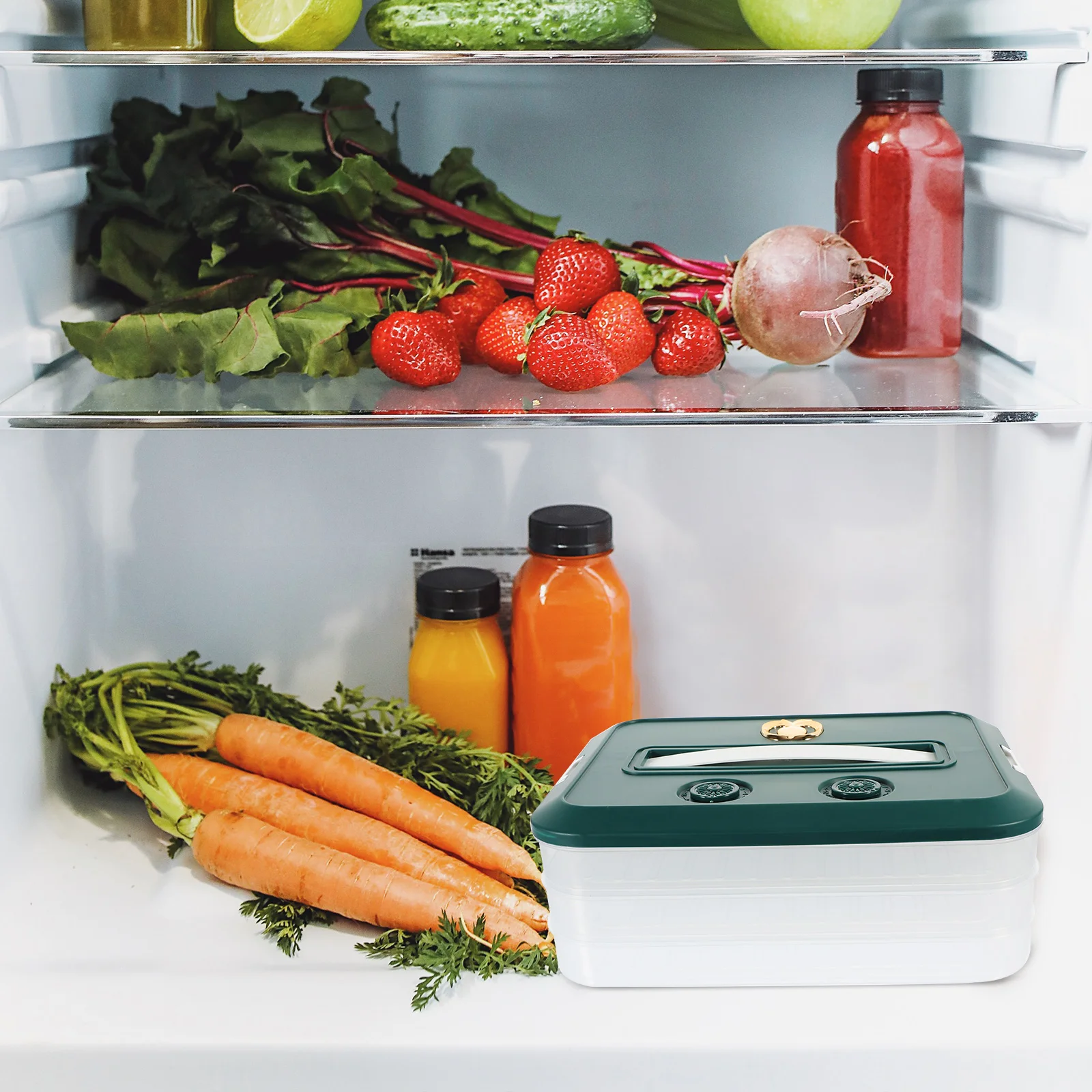 

Freezer Storage Containers Case Multi-layer Dumpling Tray Refrigerator Pp Fridge Cases Keeper