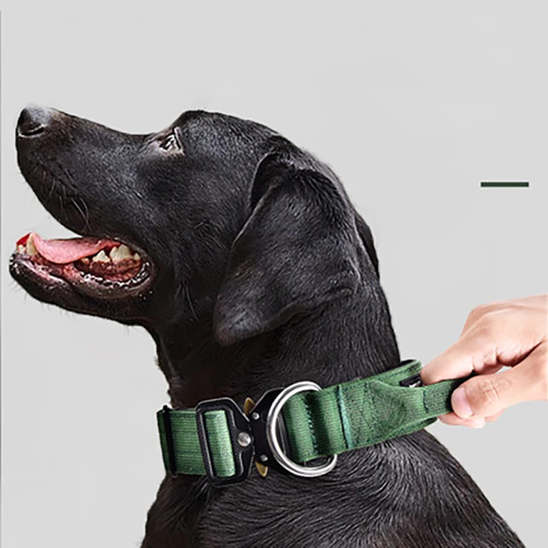 

Dog Collars Patent Lock Explosion-Proof Dash Medium Large Dogs Neck Collar German Moo Golden Retriever Walking Lead Doggy