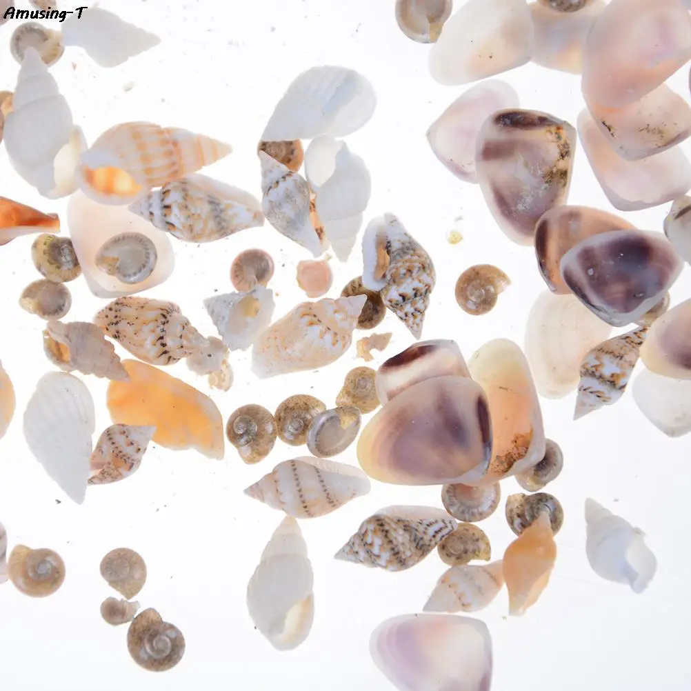 

40Pcs/bag Sea Shell mini Toys 1:12 Miniature Dollhouse toys