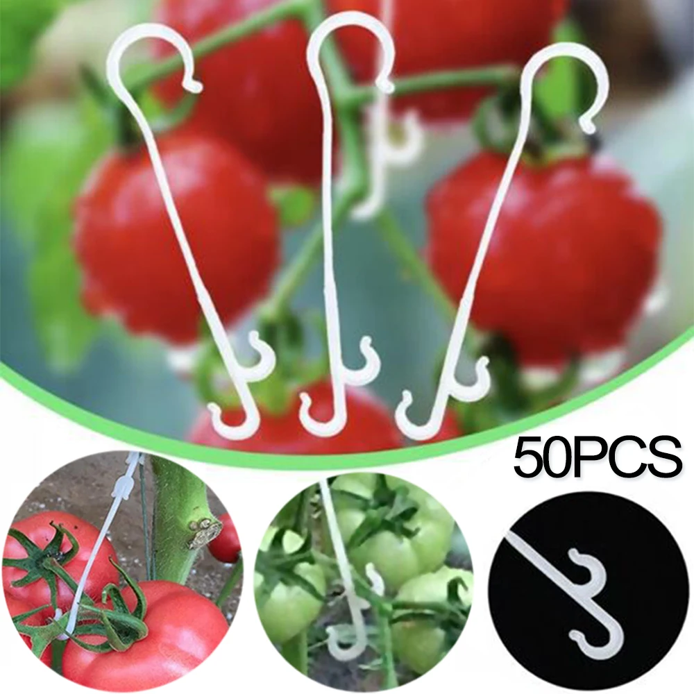 

50/10PCS Plastic Plant Fixing Clips Vines Fastener Tied Clip Grape Fastener Rack Gardening Agricultural Bundling Line Fixed Hook