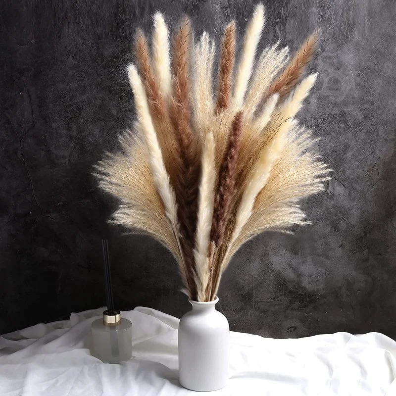 

Natural Dried Flower Bouquet Boho Wedding Pampas Grass Decor Gypsophile Decoration Home Pampa Dried Artificial Flower Dekoration