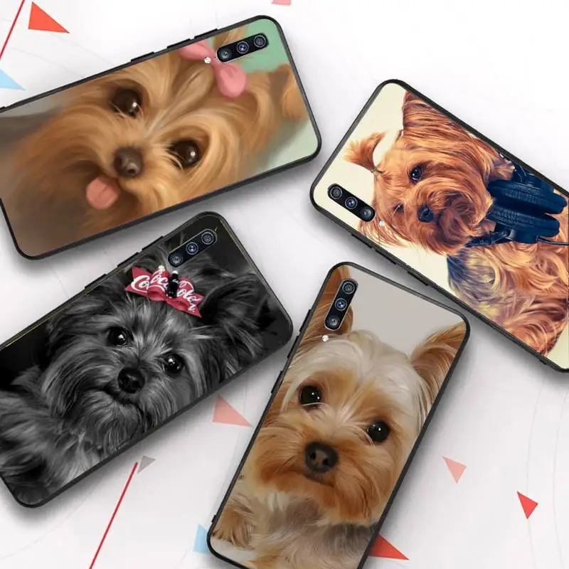 

cute Yorkshire terrier dog Phone Case for Samsung Galaxy A 51 30s a71 Soft Silicone Cover for A21s A70 10 A30
