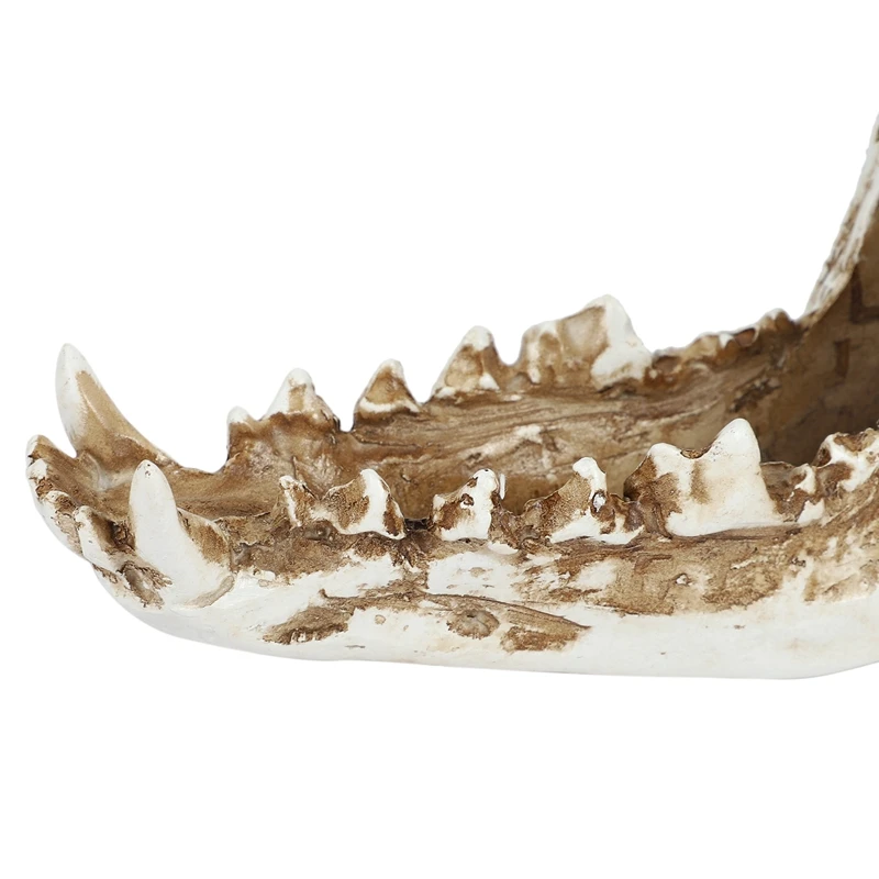 Креативная копия каучукового черепа Реплика учительской модели скелета