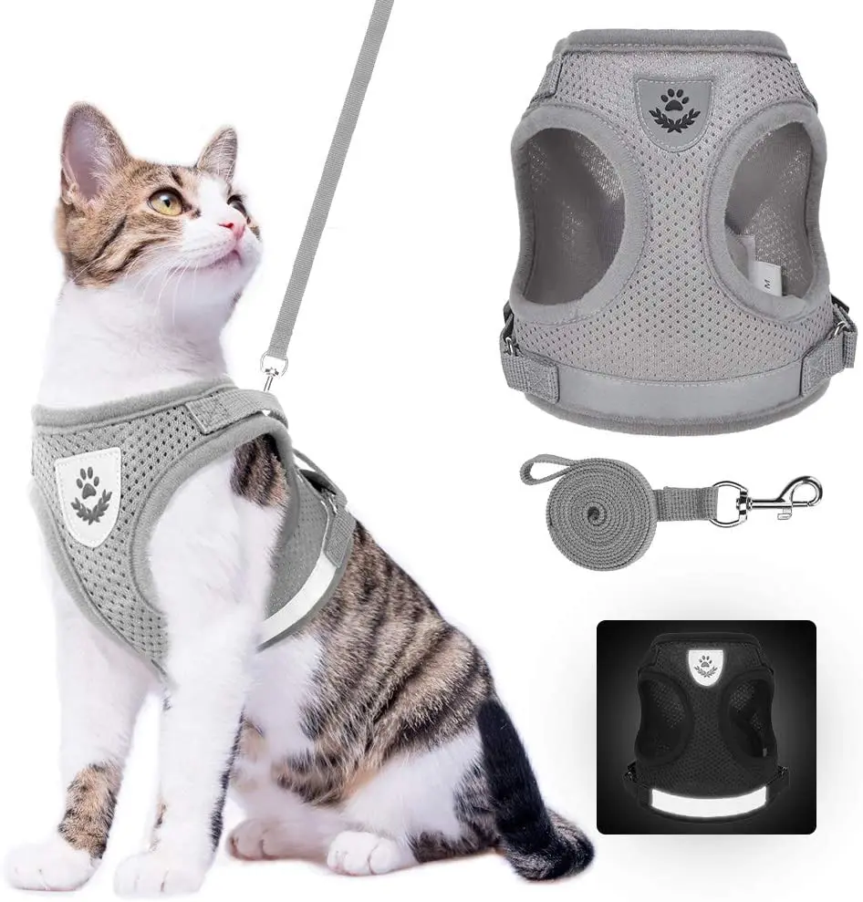 

Pet Vest Harness For Small Cat Dog leash Nylon Cat Harness Set Leashes Pet Supplies PL019