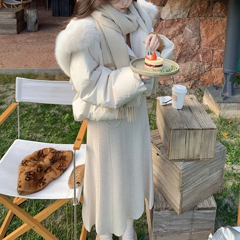 New Hooded Down Jacket Women's Winter Solid Colour Cotton Jacket Students Casual Top Thickening Warm Bread Clothes Jacket