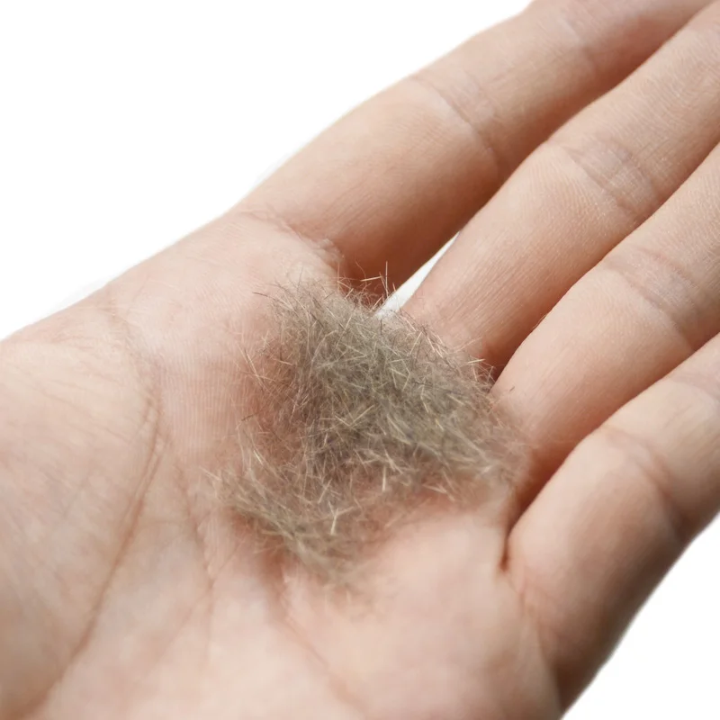 CONTEMPLATOR 2g/bag Fly Tying Hare’s Mask Dubbing Mottled Spiky Buggy Hair Mixed Rabbit Creat Creepy-crawly Bugs - купить по