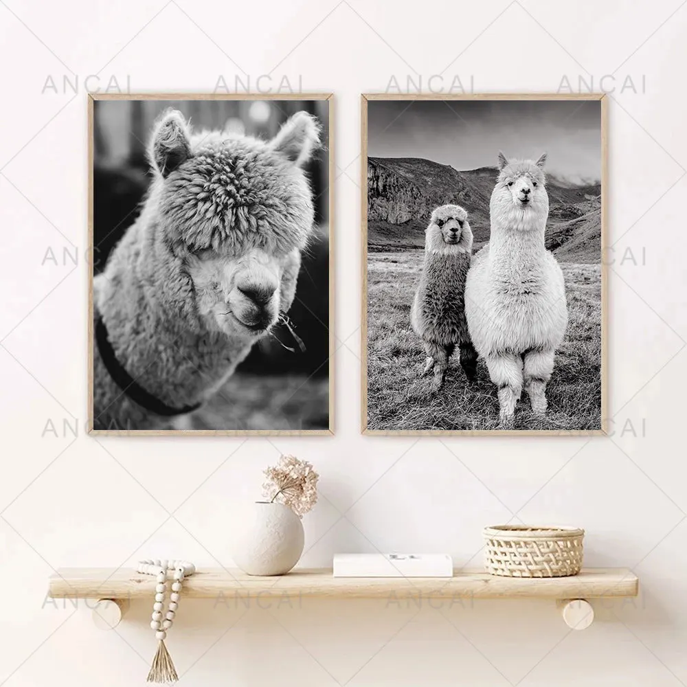 Черно-белый постер Альпака животные лама Холст Картина Печать современное
