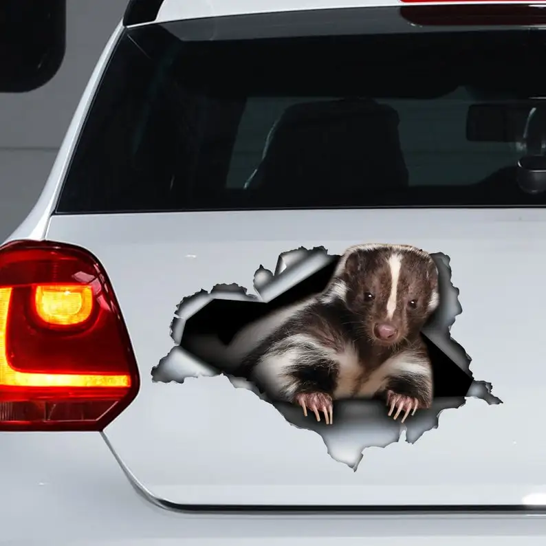 

Skunk car decal , Skunk magnet, Skunk sticker