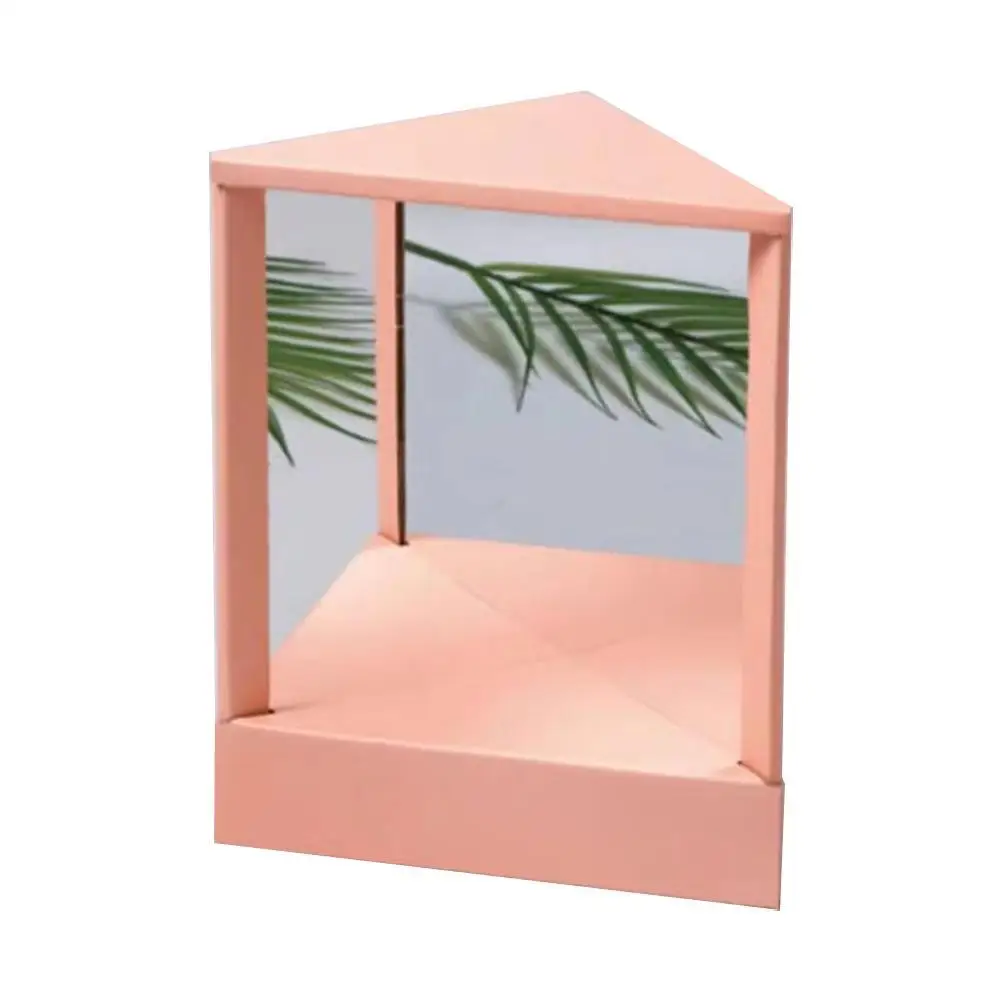 

Salmon Pink Non-Reversing Cosmetic Stand Mirror True Reflection Vanity Makeup Mirror 9" Rectangular Desk Mirror