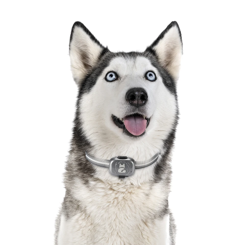 Pet GPS трекер ошейник для собак водонепроницаемый IP67 500 мАч SOS гео-забор Мини Кошка