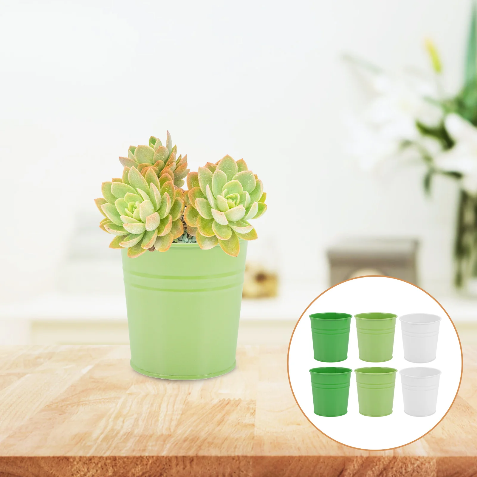 

6Pcs Simple Iron Flowerpot Balcony Flower Buckets Plant Flower Pots for Home